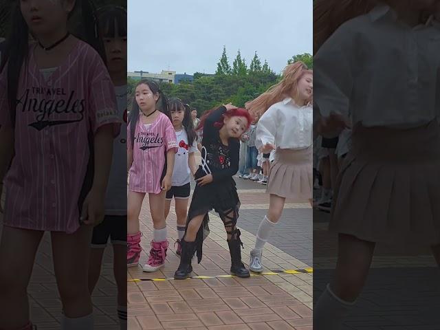 총체적난국