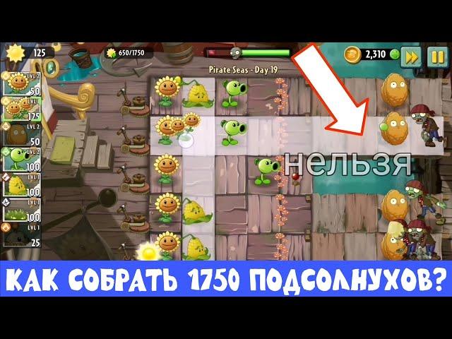 Прохожу 19-й уровень Pirate Seas. Как собрать 1750 подсолнухов в Plants vs Zombies?