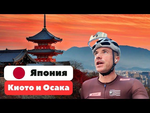 Киото и Осака: смотрим на красоту, порядок, и все остальное