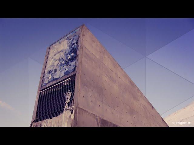 Seed Bank - Behind the News