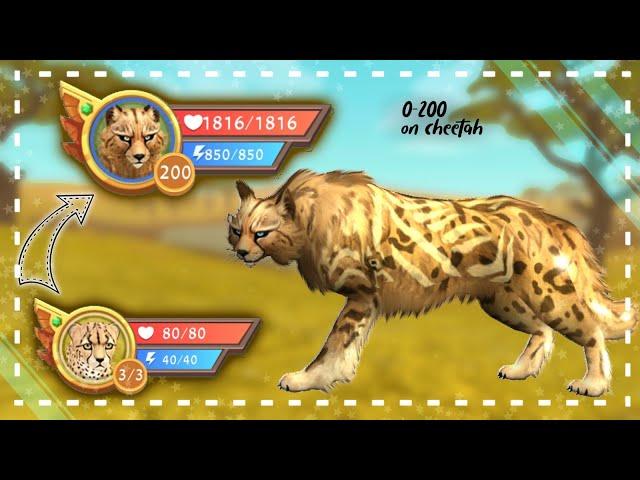 WildCraft: Level 0 to 200 • Cheetah • 