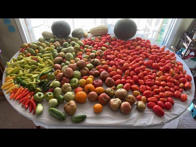 Best Summer Harvest of the Year