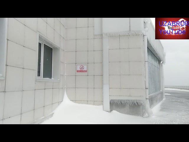 ВЛАДИВОСТОКДАГИ #ТУПАЛОН