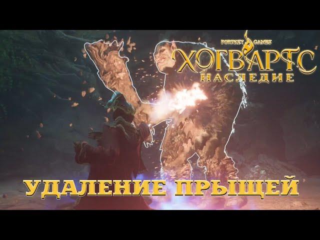 Hogwarts Legacy. Хогвартс Наследие. Удаление прыщей. Эпичная битва с лесными тролями.