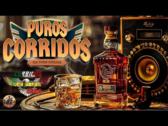 PUROS CORRIDOS VIEJITOS CON BANDA - Corridos Con Banda Pa' Pistear Mix 2024