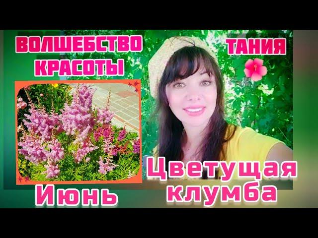 КРАСИВАЯ ЦВЕТУЩАЯ КЛУМБА