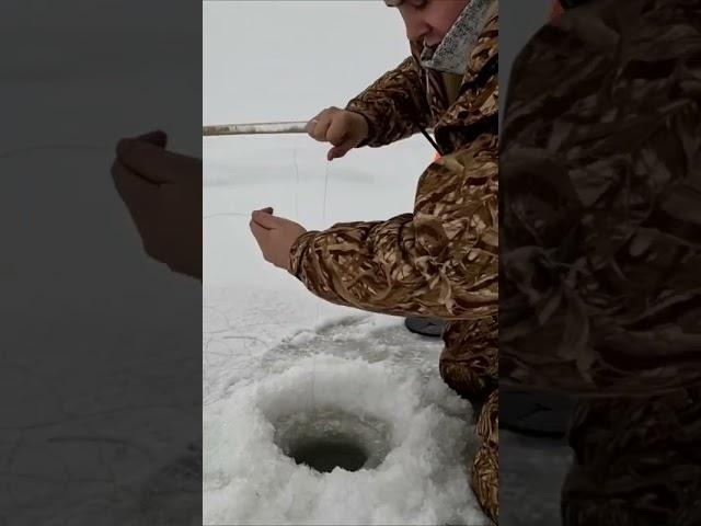 Щуки без сходов, как так одна за одной