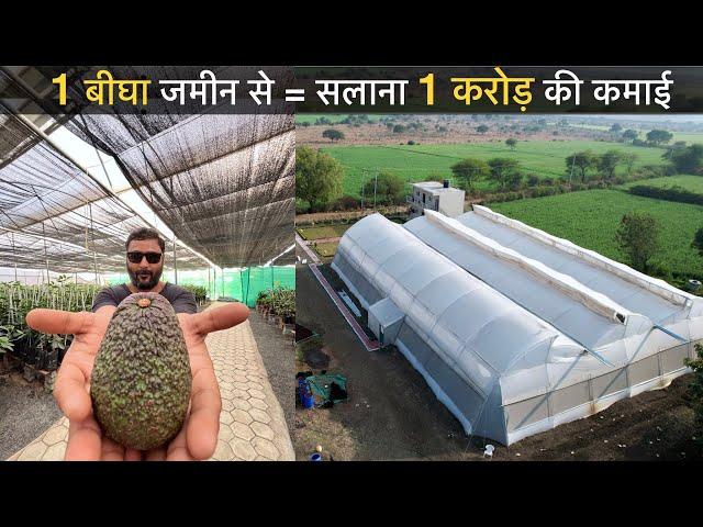 मक्खन फल ने बनाया 26 साल का लड़का करोड़पति // एवोकाडो खेती Israel butter fruit nursery India Avocado