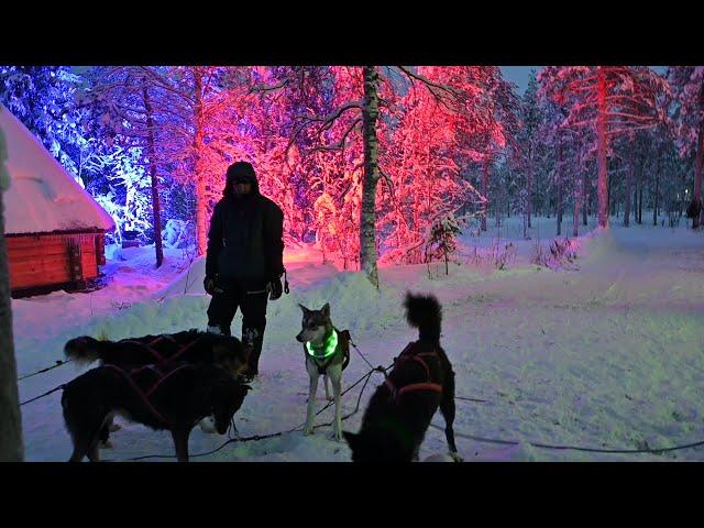 Top five things to do in Santa Claus Village, in Rovaniemi Finland