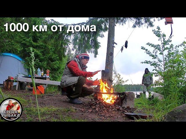 РЫБАЛКА И ОТДЫХ дикарями с палаткой на лесном озере | Ловля щуки на болоте дедовским способом.