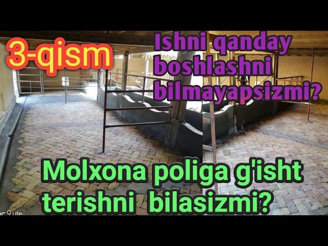 Молхона полига пишган гишт териш 3 qism Molxona poliga pishgan g'isht terish razmerlari xarajatlari