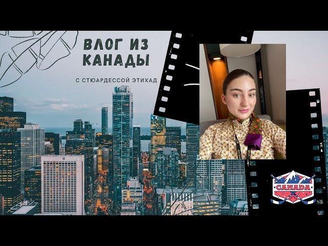 VLOG: командировка в Канаду, Торонто | стюардесса Этихад #этихад #эмирейтс #бортпроводник #etihad