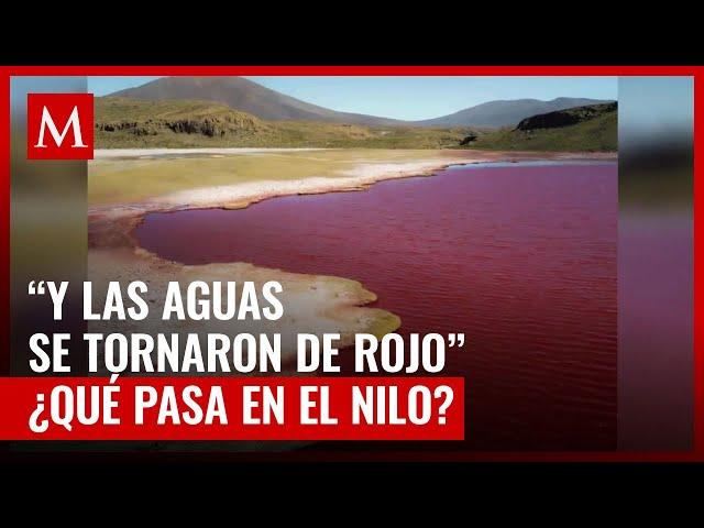 Río Nilo se pinta de rojo sangre y causa temor en redes por pasaje bíblico