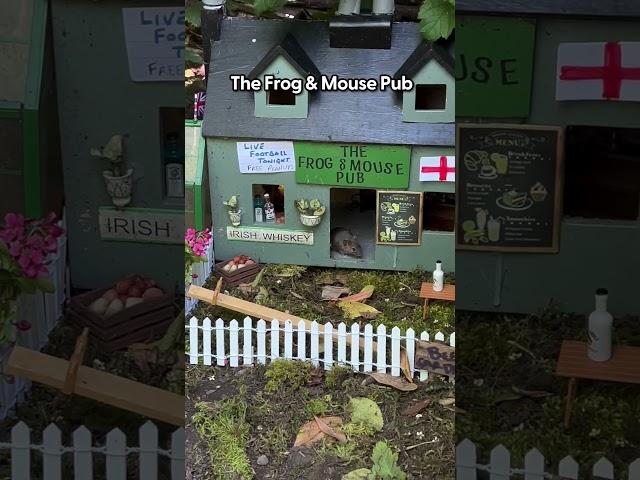 Granddad Builds An Entire Village For Mice In His Garden | The Dodo