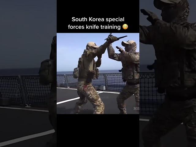 South Korean Special Forces Knife Training #southkorea #specialforces #military #karmy #armytraining