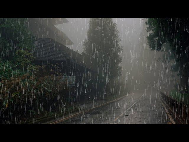 Sonido de Lluvia y Truenos para Dormir Profundamente - Lluvia Relajante en Bosque Brumoso #75