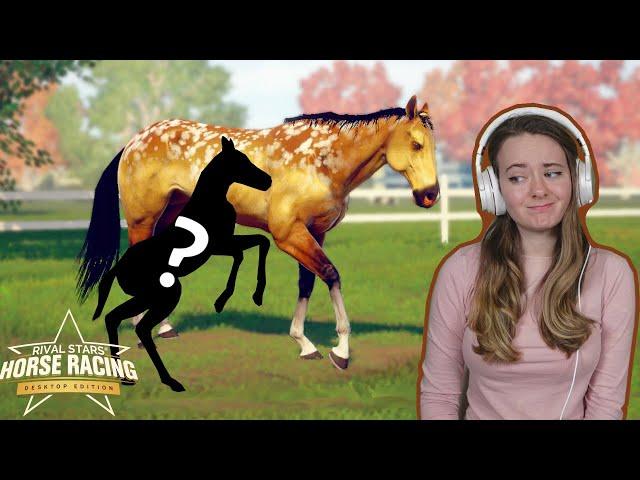 BREEDING UGLY HORSES - Rival Stars Horse Racing | Pinehaven