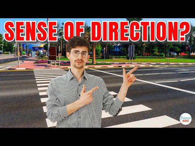 Why Do Some People Have a 'Good' Sense of Direction?