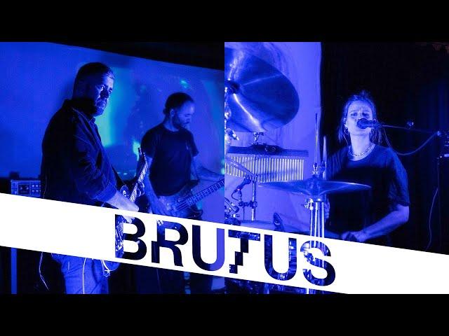 Brutus — A Forest (The Cure cover) | StuBru LIVE LIVE | Studio Brussel