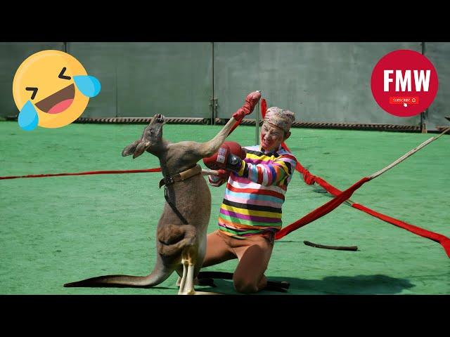 Funny & Hilarious People's Life  #91 - Try not to Laugh | Unusual Memes Compilation 2024.