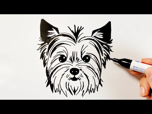 How to Draw a Yorkshire Terrier Dog