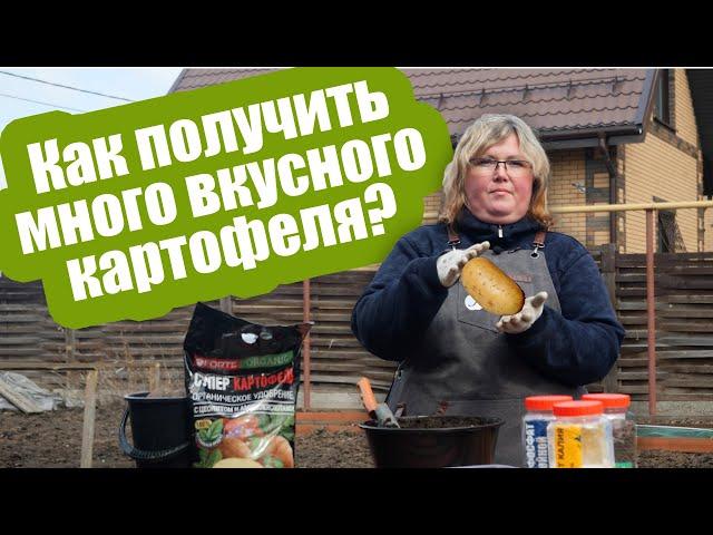 ГЛАВНЫЕ УДОБРЕНИЯ ДЛЯ КАРТОФЕЛЯ! Подкормка картофеля: что, сколько, и когда вносить