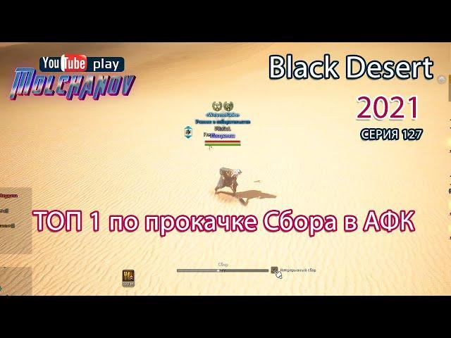 Копаем пустыню. Сбор грязи. Black Desert Фарм серебра 2021.