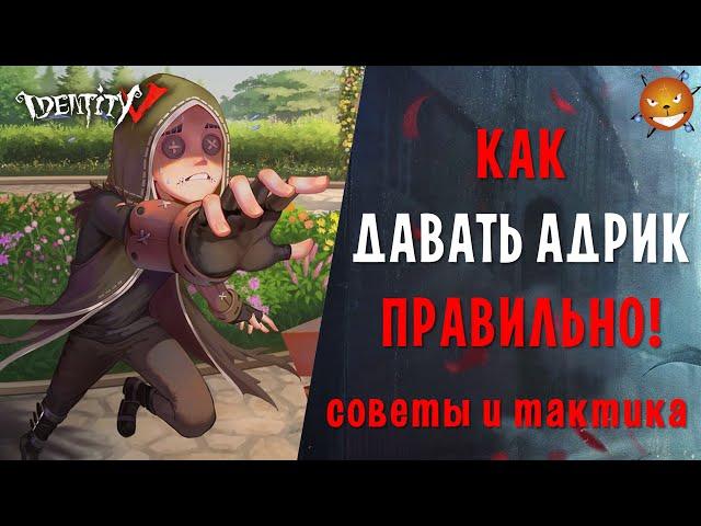 Identity V - Как правильно давать Адрик в Идентити 5. Советы новичкам