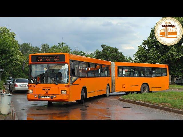 Sofia Buses | МАN/MANAS SG 262 (2019 & 2020)