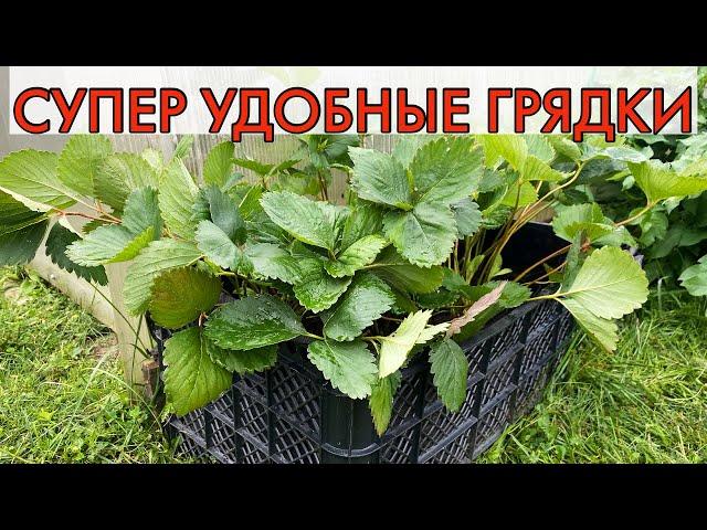 Мобильные грядки для клубники. Как их сделать, как использовать