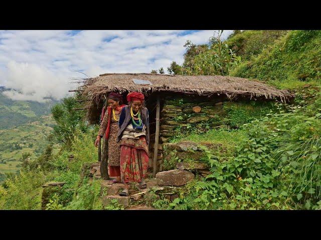 Most Peaceful And Relaxing Mountain Village Life of Nepal | Today Hari Rokaya Best Compilation Video