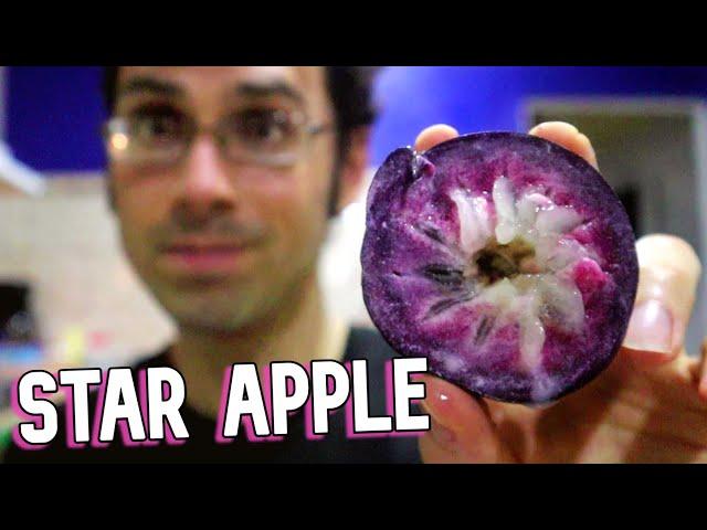 Star Apple & Malay Apple - Surprising Finds in Costa Rica! (Caimito) - Weird Fruit Explorer