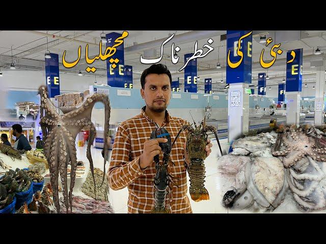 Biggest Fish Market In Dubai  | Amazing Fish Mandi | UAE Travel