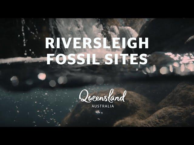 Riversleigh Fossil Sites | Queensland's 5 World Heritage Sites