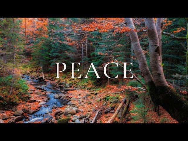 Relaxing Music and Nature | Stress Relief Calm | Hidden Treasure