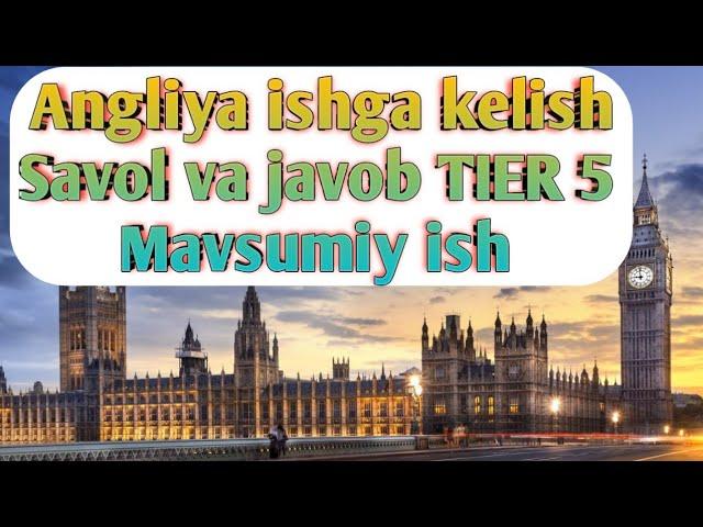 Angliyaga Mavsumiy ish kelish yoli savol javob TiEr5 Mavsumiy ish