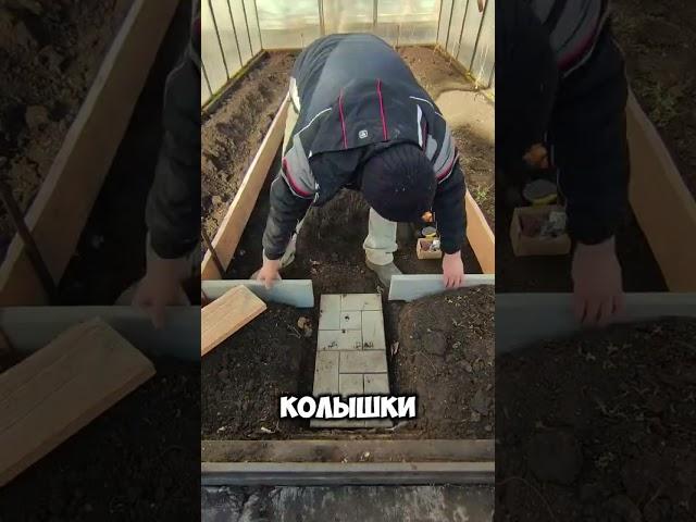 Дорожка в теплице своими руками