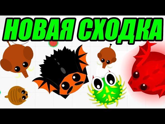 Новая СХОДКА за два клана АЛ и АХ в МОПЕИО. Смешное видео про Mope.io