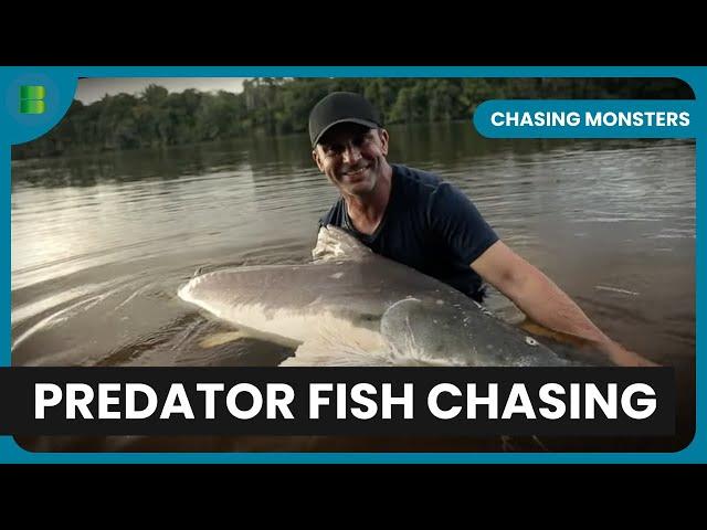 Jungle Fish Thrills! - Chasing Monsters - Fishing Show