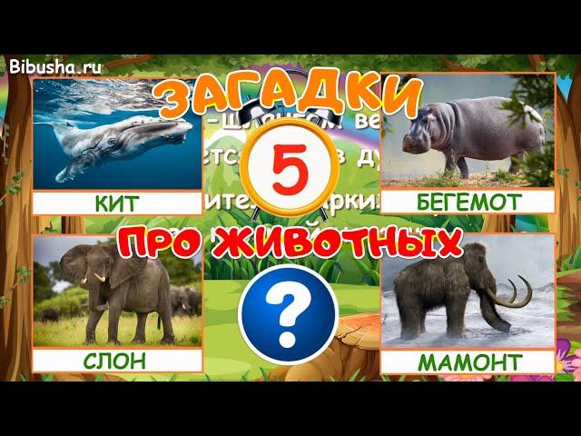 Загадки для детей | ЗАГАДКИ ПРО ЖИВОТНЫХ - Часть 1