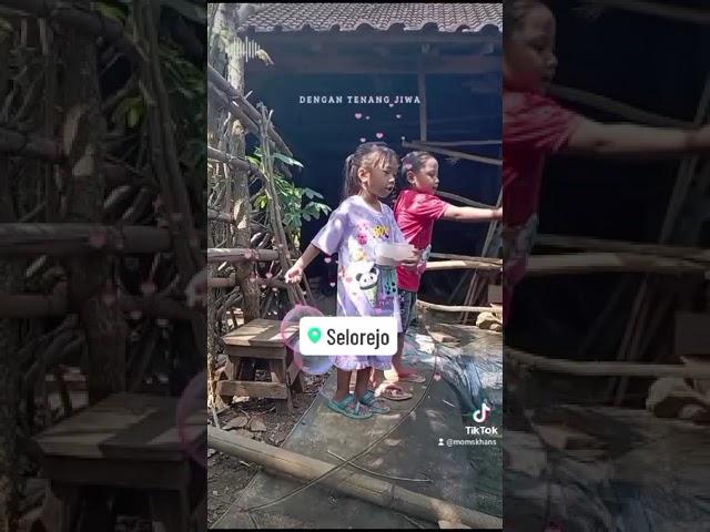 Sukaa banget ngasih ikan lele pas dirumah mbah kung