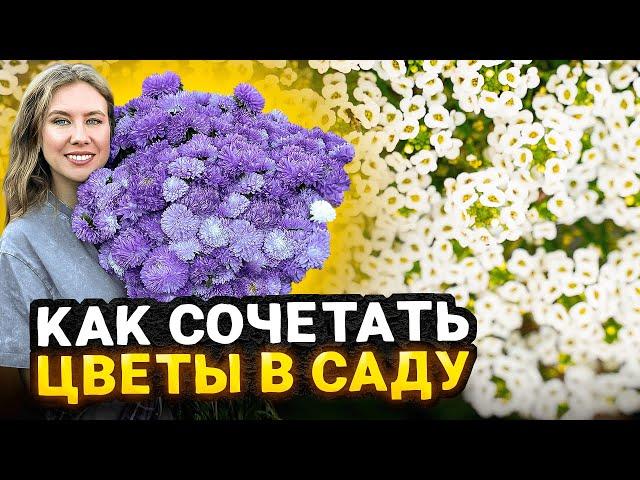 КАК КРАСИВО СОЧЕТАТЬ ЦВЕТЫ НА КЛУМБЕ | Идеи создания стильного сада