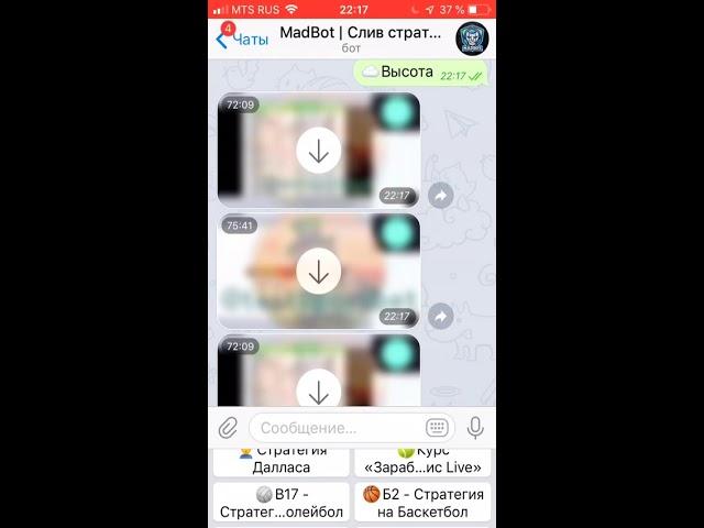 СЛИВ СТРАТЕГИЙ И БОТОВ ОТ «ХОЧУ ПРОГНОЗ» БЕСПЛАТНО!