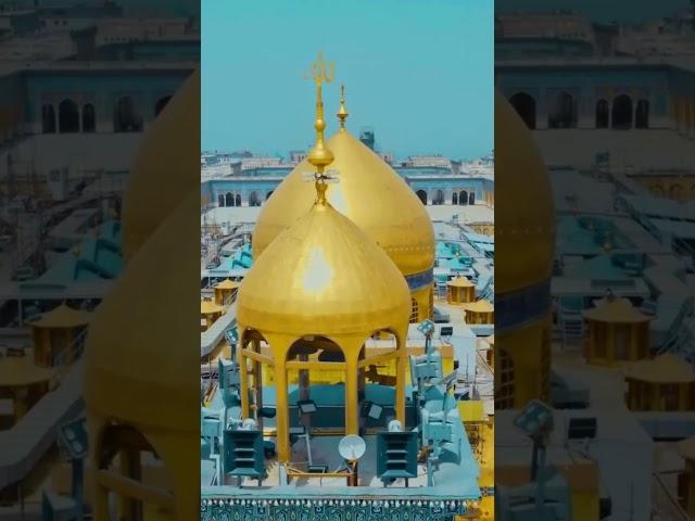 Saddam Hussein's Rise to Power: A Story of Ambition and Oppression #education #documentary #history