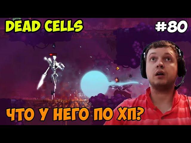 Папич играет в Dead Cells! Что у него? 80