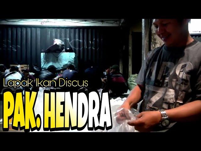 PASAR JATINEGARA : LAPAK IKAN DISCUS PAK HENDRA