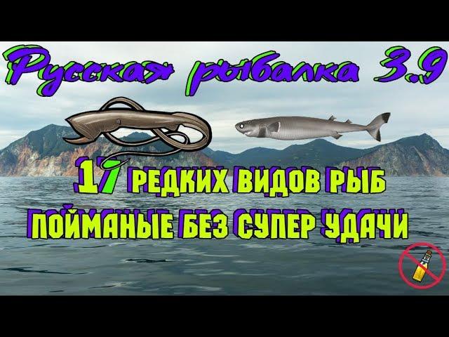 Русская рыбалка 3.9.   17 Редких видов рыб!