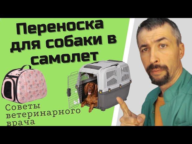 переноска для собаки в самолет