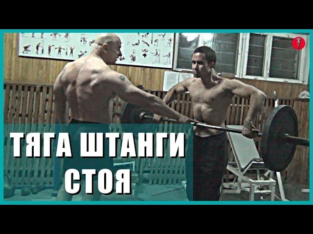 21. УПРАЖНЕНИЕ культуриста БАЗОВОЕ для плеч. ТЯГА ШТАНГИ СТОЯ