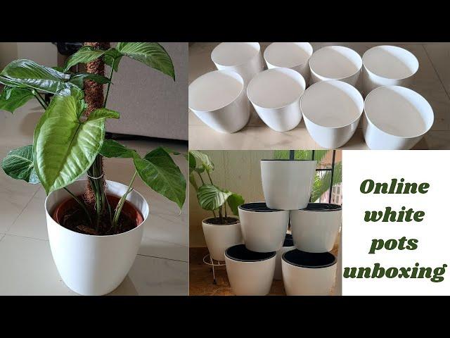 meesho/flipkart white pots unboxing and review/unboxing white pots